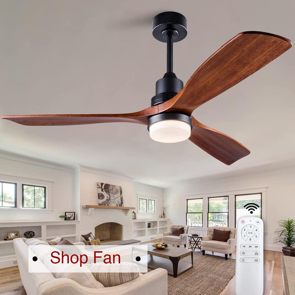 Shop Fan 1